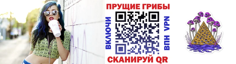площадка наркотические препараты  Долгопрудный  Псилоцибиновые грибы мухоморы  сколько стоит 