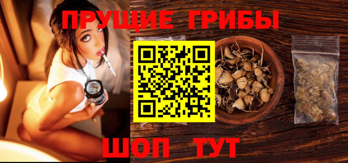 Долгопрудный  даркнет сайт  Вход с VPN  Галлюциногенные грибы мухоморы 