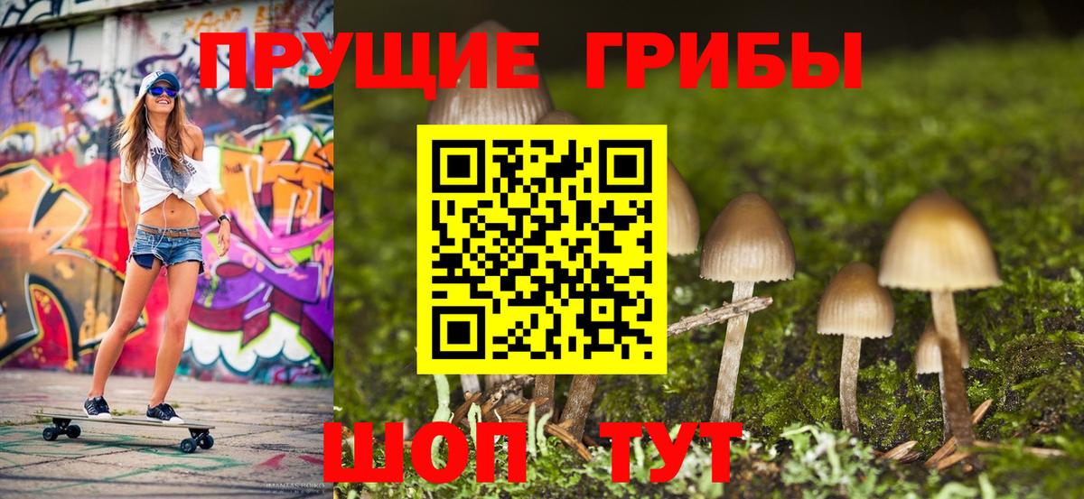 Псилоцибиновые грибы ЛСД Долгопрудный