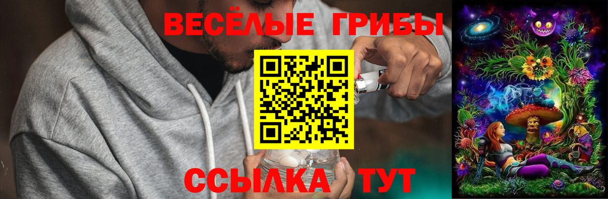 Галлюциногенные грибы мухоморы Долгопрудный